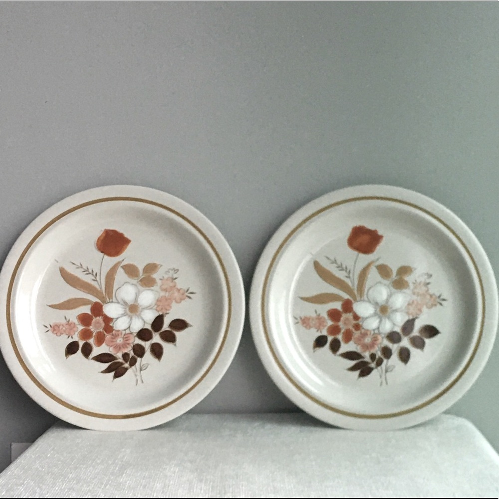 (2) two VINTAGE 80’s floral stoneware dinner plates <japan>